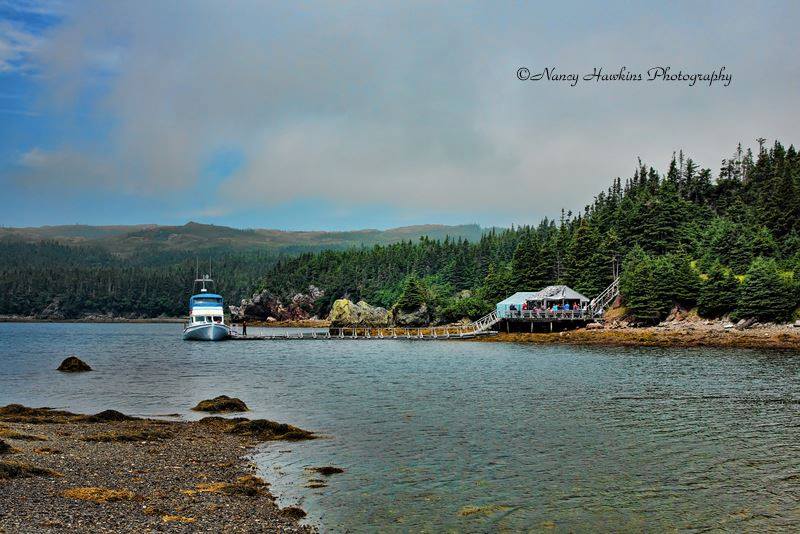 Gallery Woody Island Resort